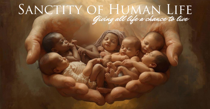 The Sanctity of Human Life