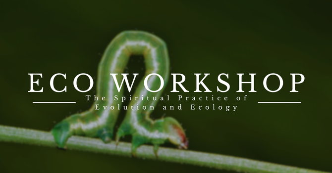 Ecology, Evolution & Spirituality - CANCELLED