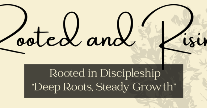 Wednesday Night Bible Study