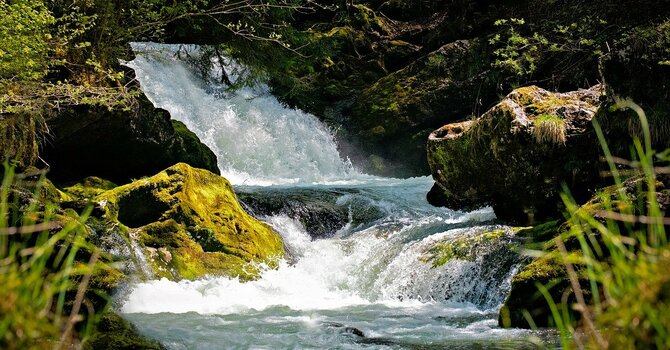 April 10, 2026 Devotion image