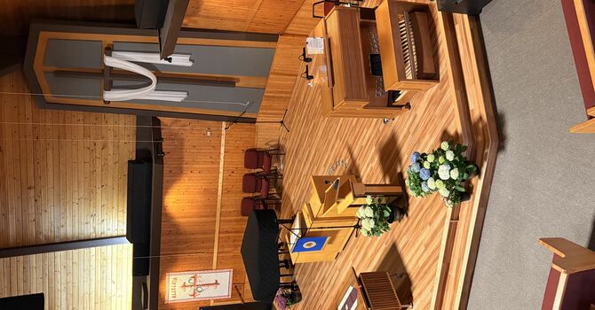 St. Johns Weekly Bulletin - January 23, 2022 image