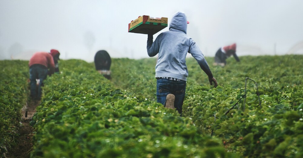 Fundraising Challenge for Migrant Farmworkers Mission