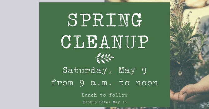 Spring Clean Up