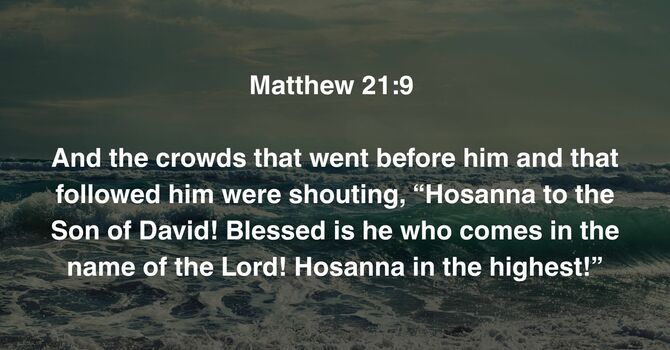 Matthew 21:9 image