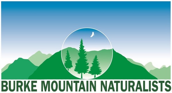 Ten 'Must Haves' for Urban Forest Management