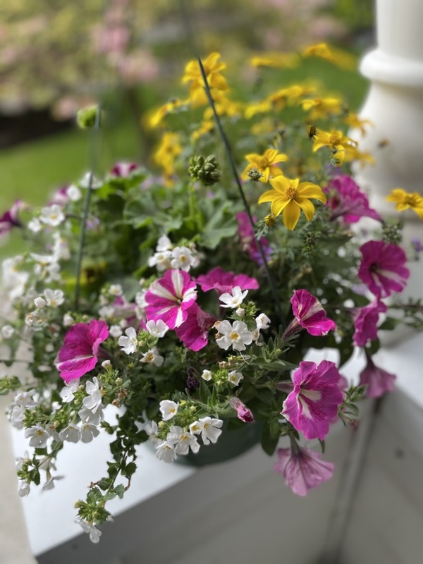 St. Philip's Dunbar — Blooms & Baking