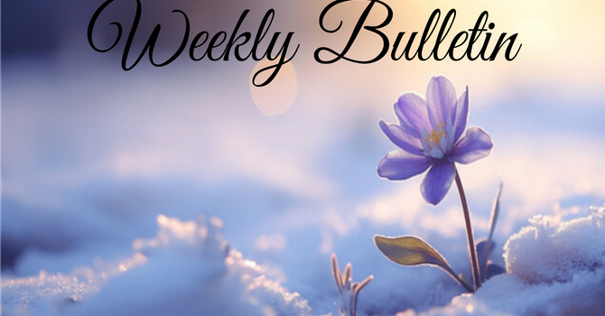Bulletin for April 11 & 12, 2026