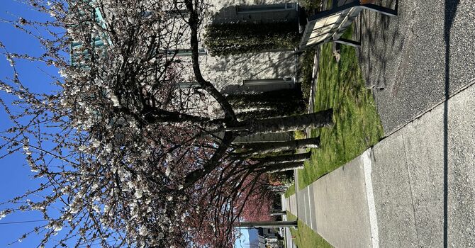 Newsletter Subscription List Issue