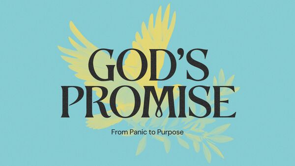 God's Promise - From Panic to Purpose