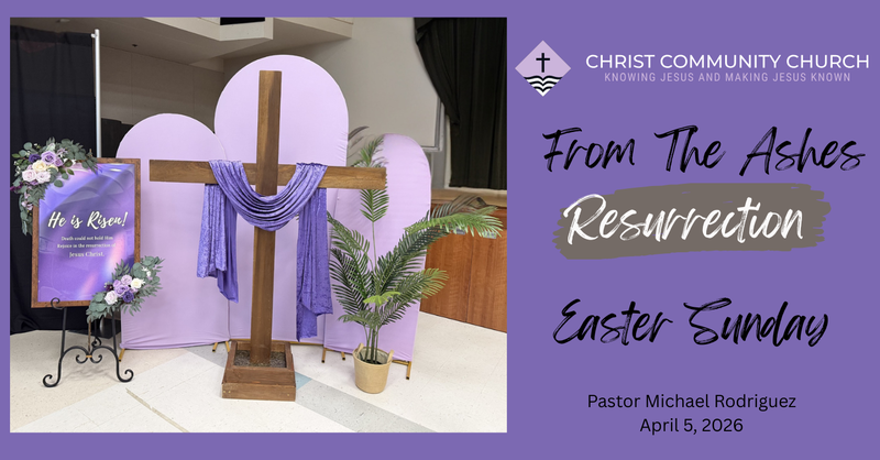 From the Ashes: Resurrection 