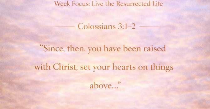 Alive to Live Differently image