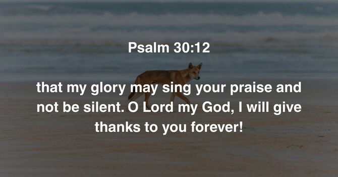 Psalm 30:12 image