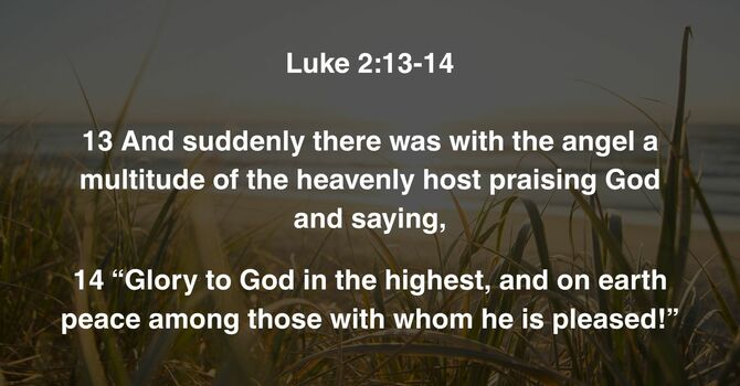 Luke 2:13-14 image