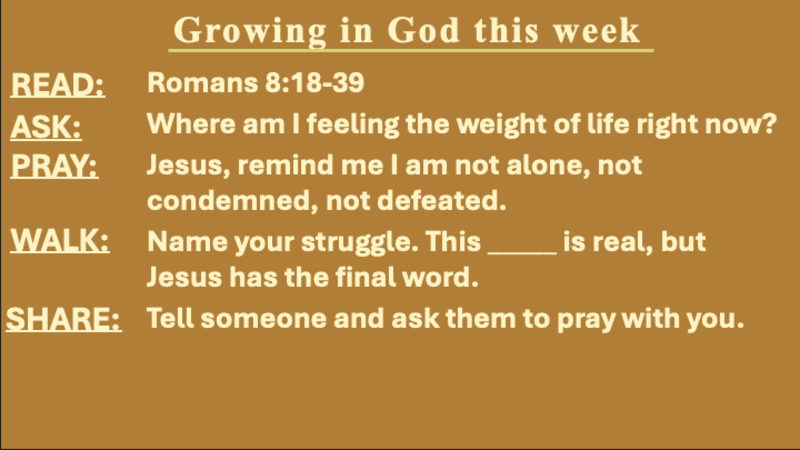 Jesus: The Only Savior