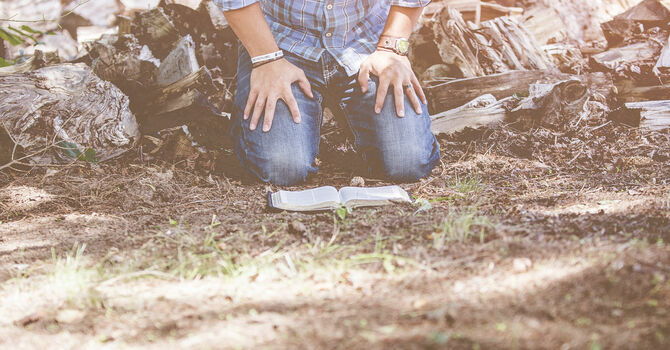 The Purpose in Presence