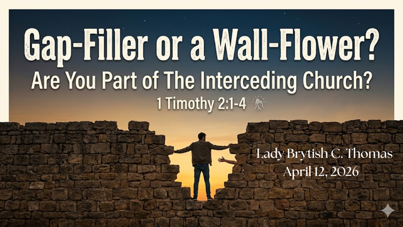 Gap-Filler or a Wall-Flower?