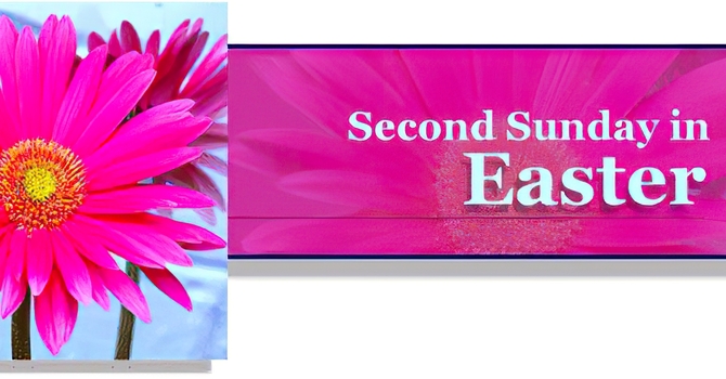 SECOND SUNDAY OF EASTER