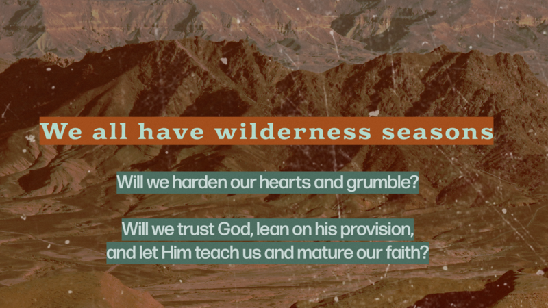 Life in the Wilderness