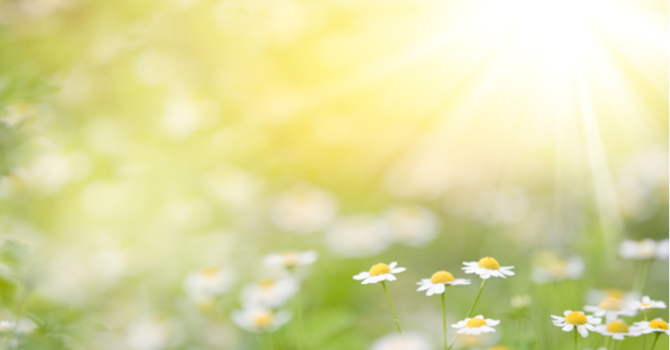 Second Sunday of Easter