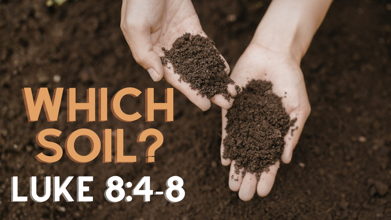 Which Soil?