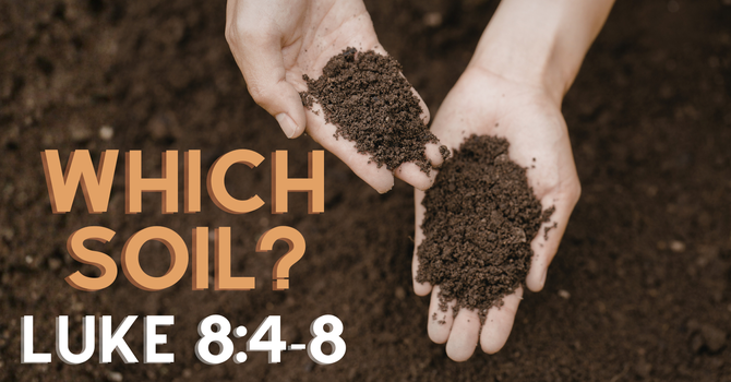 Which Soil?