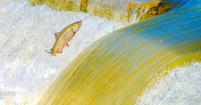 Don’t Stop Because of Resistance