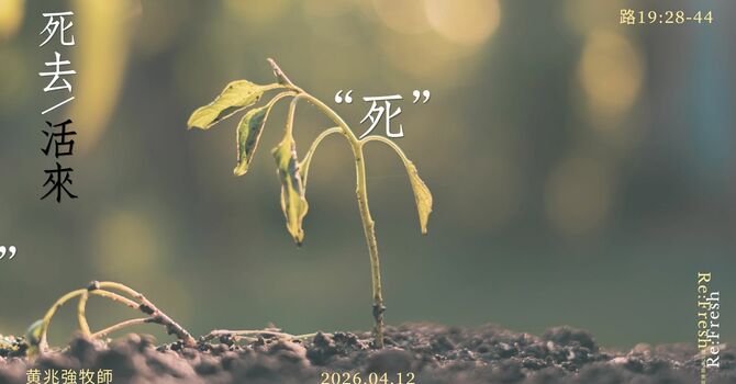 死去 / 活來