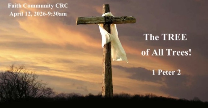 “The TREE of All Trees!” April 12 2025 A.M. Service