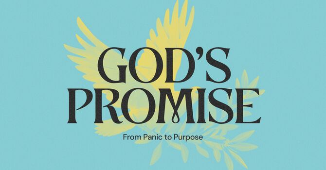 From Panic to Purpose