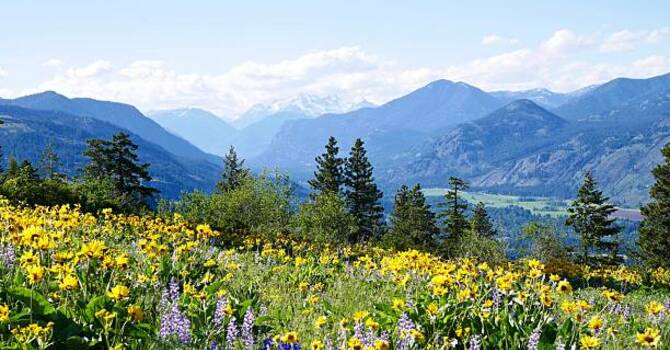 April 13, 2026 Devotion image