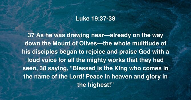 Luke 19:37-38 image