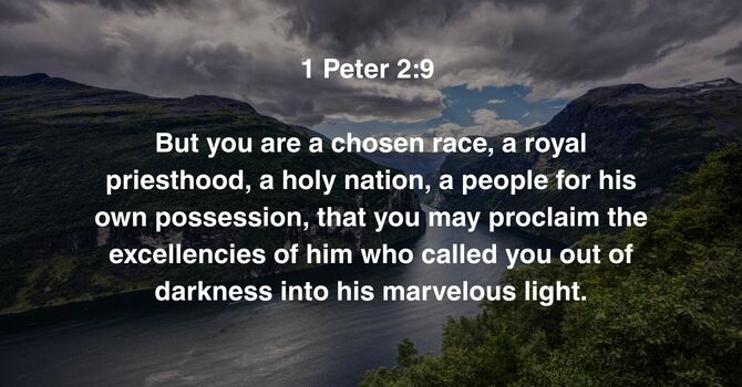 1 Peter 2:9 image
