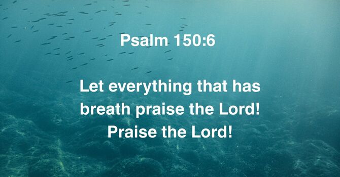 Psalm 150:6 image