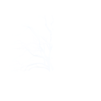 Redemption Life Church