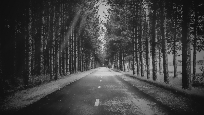 What the Bible Says About...the Way