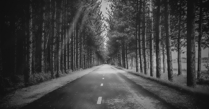 What the Bible Says About...the Way