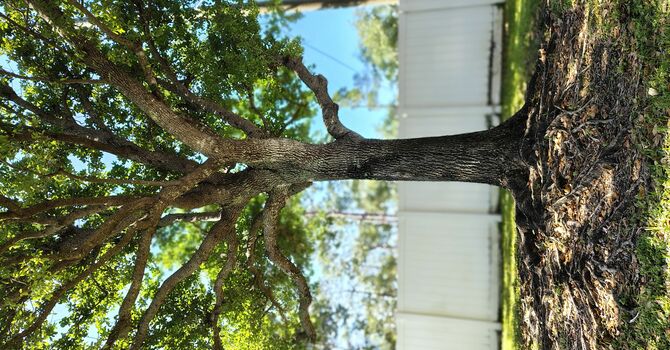 A Beautiful Day! image