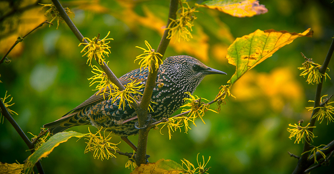 Easter eyes: Seeking new life