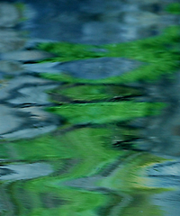 staff member image