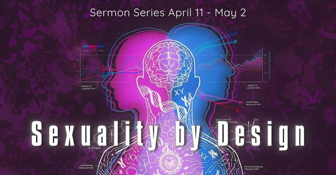 Beauty’s Not My Lack