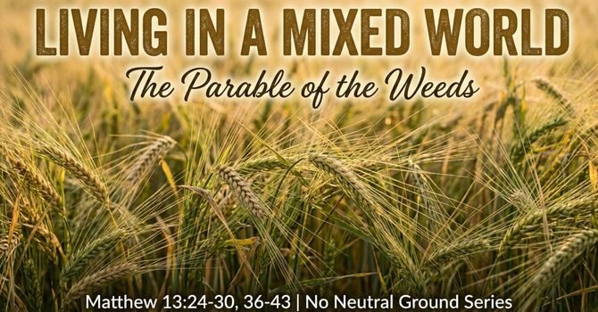 Parable of the Weeds