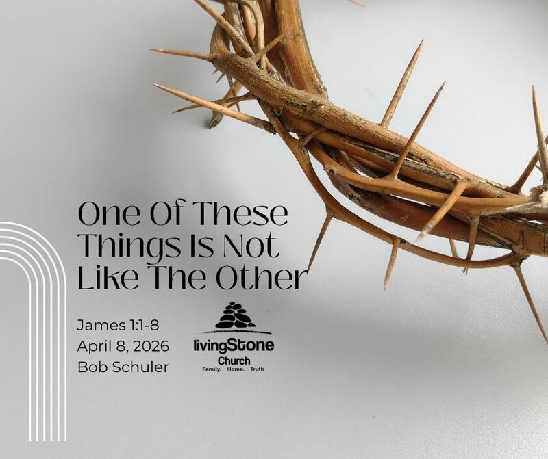 One Of These Things Is Not Like The Other