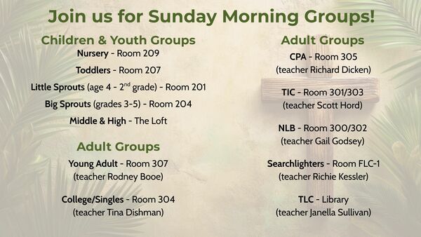 Sunday Morning Bible Studies