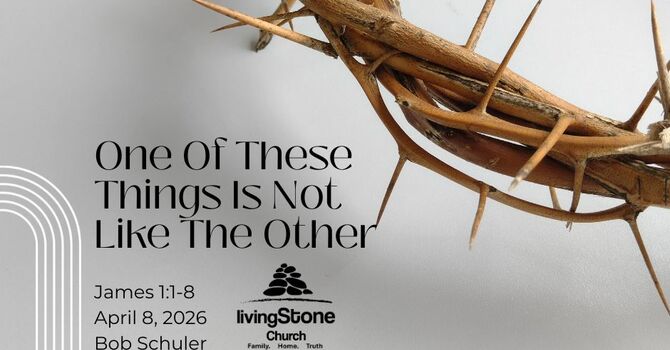 One Of These Things Is Not Like The Other