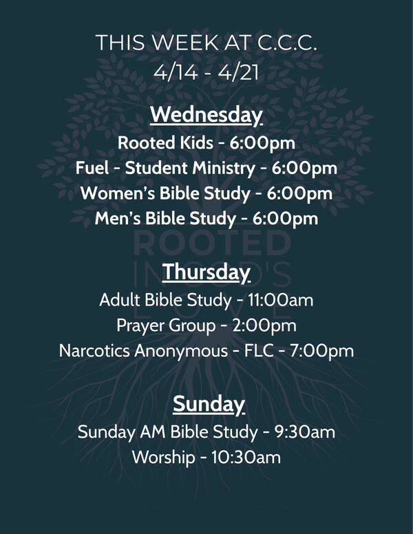 This Week's Schedule