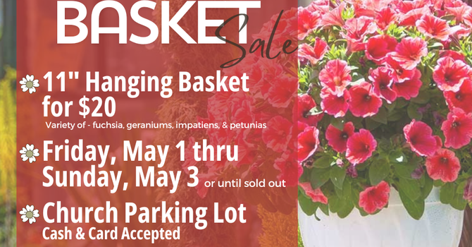 Hanging Basket Sale