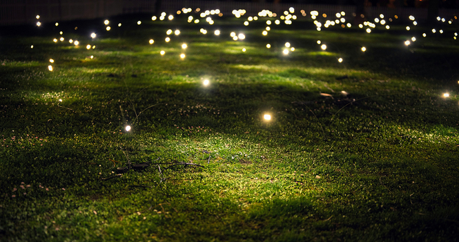 Creation support: Going beyond human standards of aesthetics