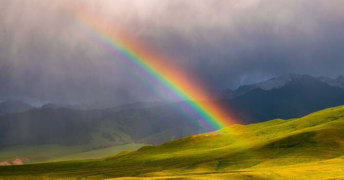 April's Newsletter image