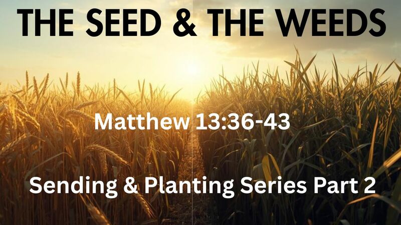 Sending & Planting Part 2: The Seed & The Weeds