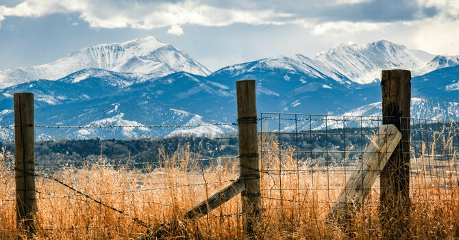 "Don't Let This Message Die Out"